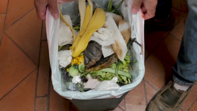  West St Paul, MN Junk Removal Services Pros